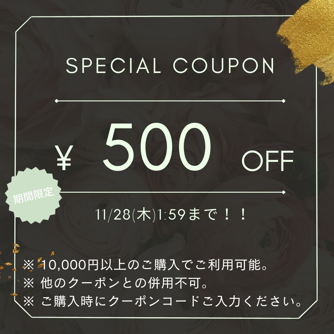 期間限定 500円OFFクーポン